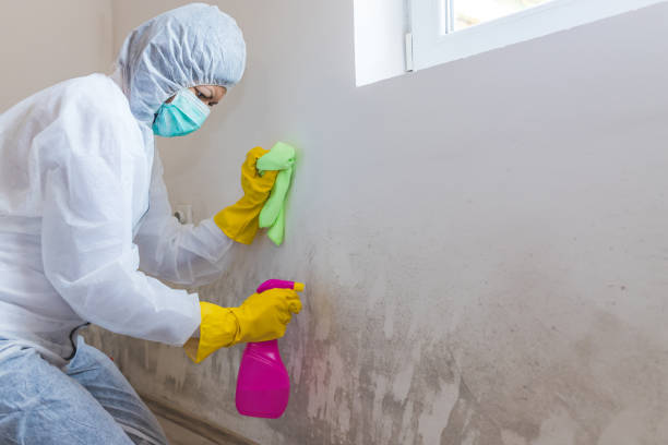 Best Water Damage & Mold Remediation  in Oildale, CA